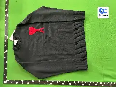 Fall and Winter New Hundred Sweater 0099